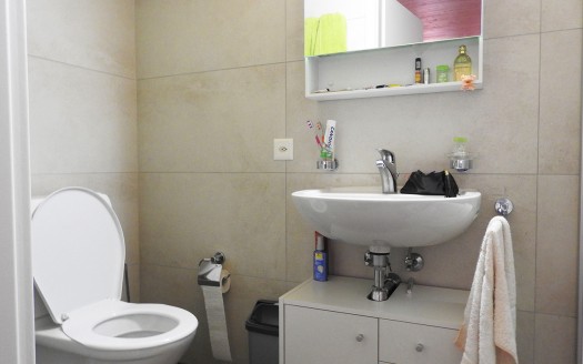 Storica cantina Ticinese con appartamento rinnovato e giardino – Rif. 323