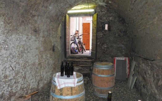 Storica cantina Ticinese con appartamento rinnovato e giardino – Rif. 323