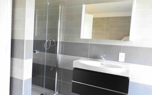 Splendido nuovo appartamento 3 1/2 locali a Pregassona (alta) Rif. 352b