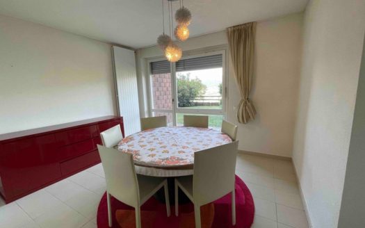 Appartamento rinnovato vista lago con ampio giardino, Rif.: 0381